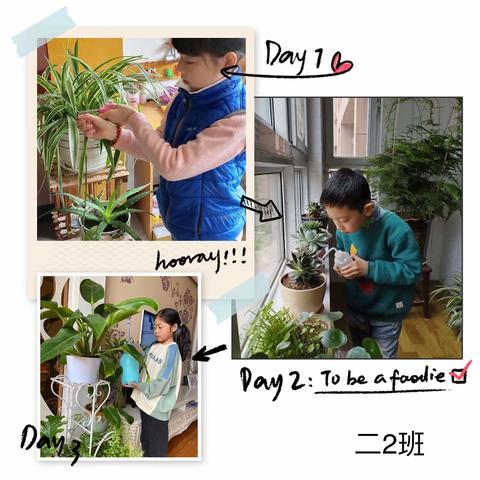 仪征市真州小学二年级“我为地球添绿色”主题摄影活动