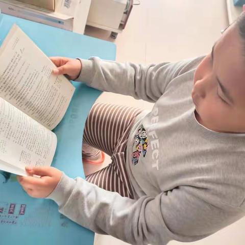 星少年-----崇礼区希望小学   五（3）班  杨伟博