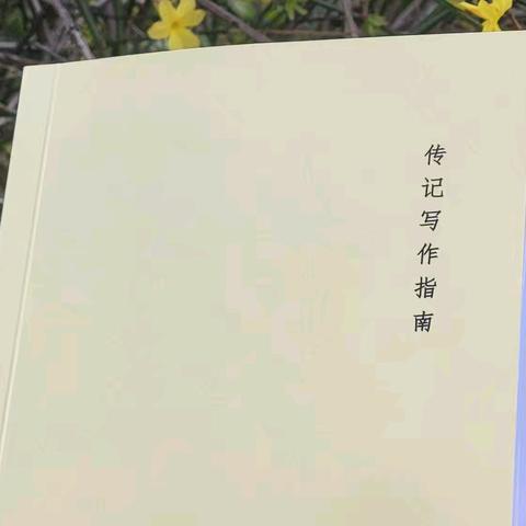 写人生回忆录必不可少的工具书
