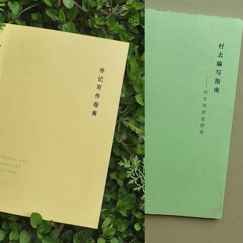 《传记写作指南》+《村志编写指南-村史馆建设》