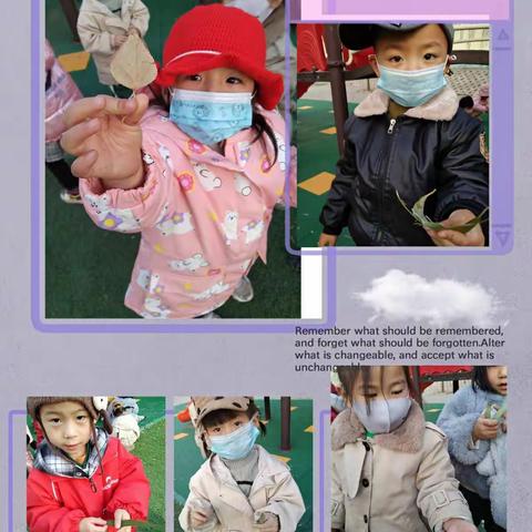 云@@fei......的美篇