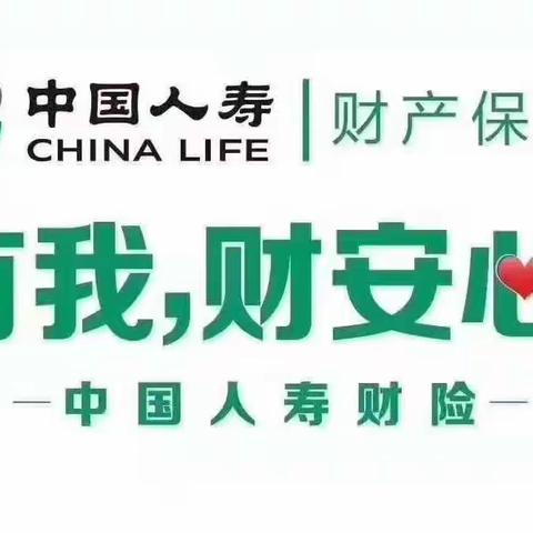 中国人寿财险安康中心支公司3·15“一日一主题活动”之风险提示