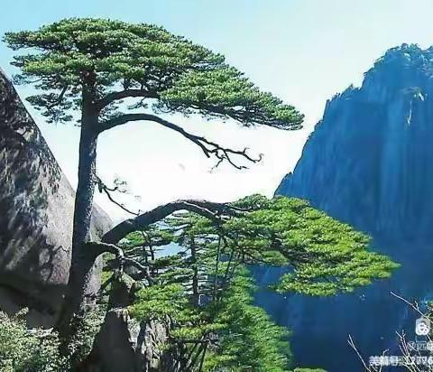 雄险奇峻~大美黄山（二）