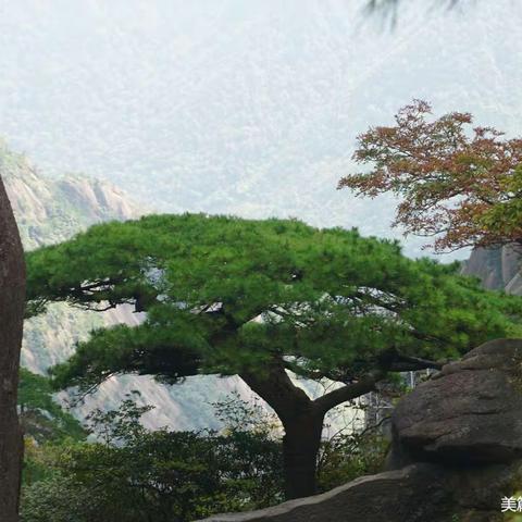 雄险奇峻~大美黄山（三）