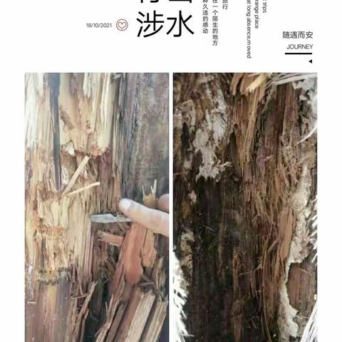 维修不停歇   园容更美丽