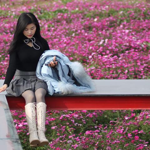 黄花湾
