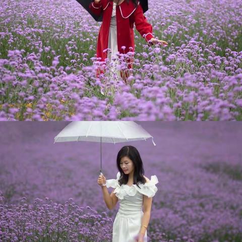 留下青春的足迹