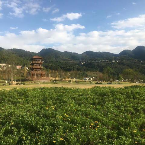 重庆市104中学高78级毕业40周年同学会剪影（续二）