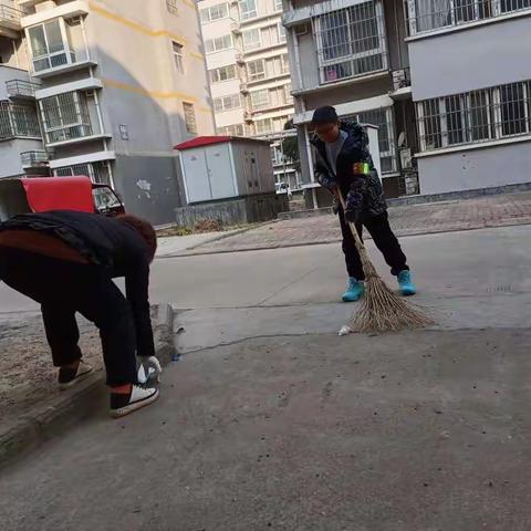 我劳动我光荣——舞钢市第五小学六年级“小手拉大手，提升人居环境”