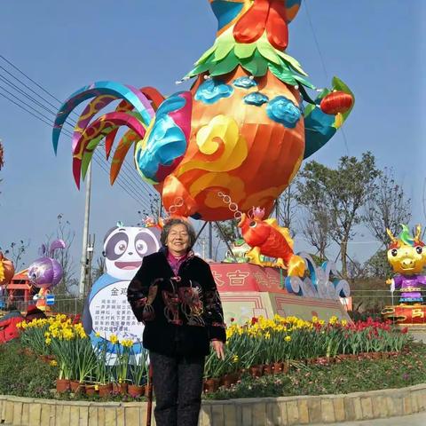 春节期间一家人高高兴兴祖孙三代陪老妈初一游玩了塔子山公园初二逛了七彩田野灯会初三重游了杜普草堂