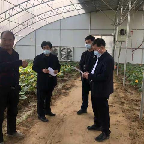 县委常委、常务副县长韩宏涛调研马坊镇脱贫攻坚及企业复工复产情况