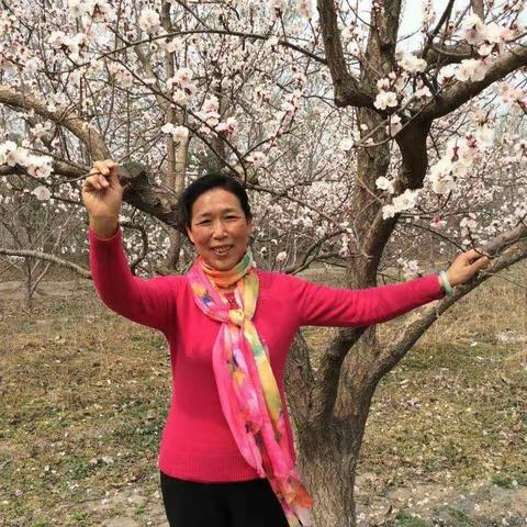 阳春三月，50年代出生的大姐和她的好闺蜜们一起去踏青，陶醉在无限美好的春光里...