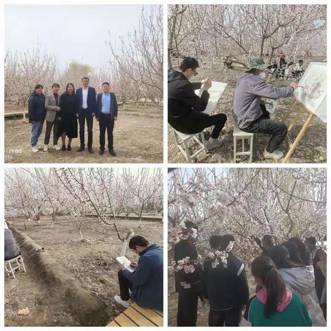 【享劳动之乐 悟劳动之美】——记四十九团学校劳动实践活动