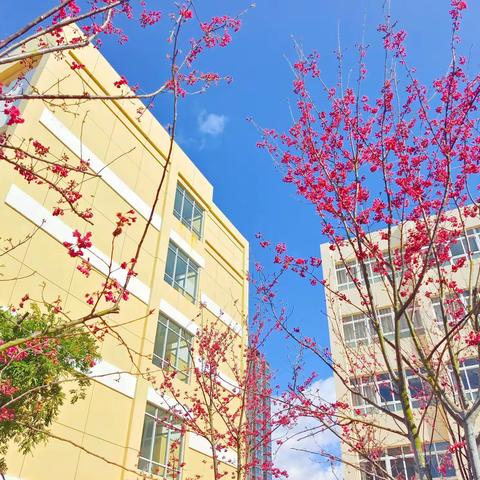 玉溪第四中学2022年寒假放假相关事项告之书