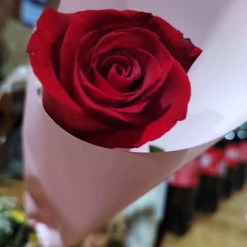 你最美——云南沛泽纸业女职工