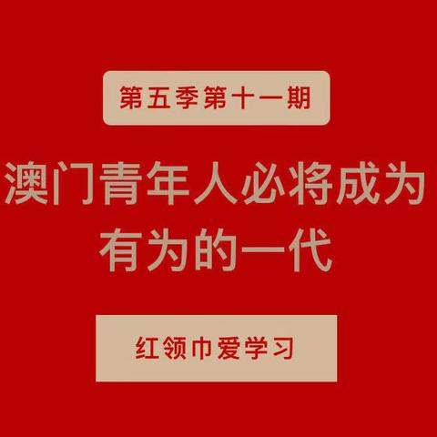 城南小学第五季红领巾爱学习⑪ | 澳门青年人必将成为有为的一代活动