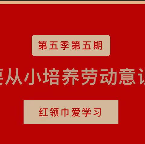 【城南小学】第五季红领巾爱学习 | 要从小培养劳动意识