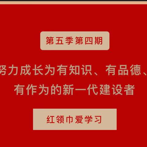 【城南小学】红领巾爱学习第五季——努力成长为有知识、有品德、有作为的新一代建设者