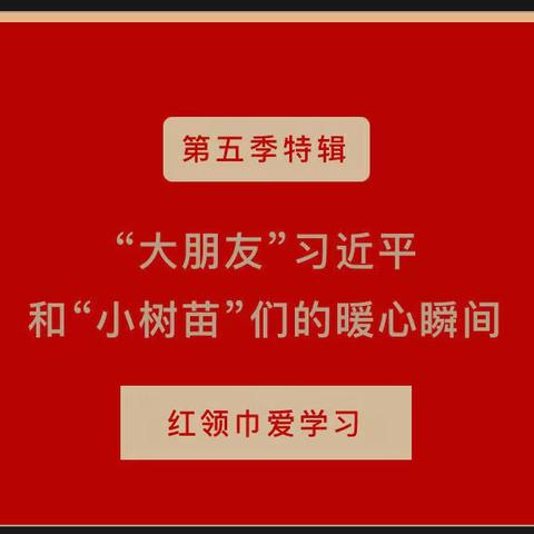 【城南小学】红领巾爱学习 | “大朋友”习近平和“小树苗”们的暖心瞬间