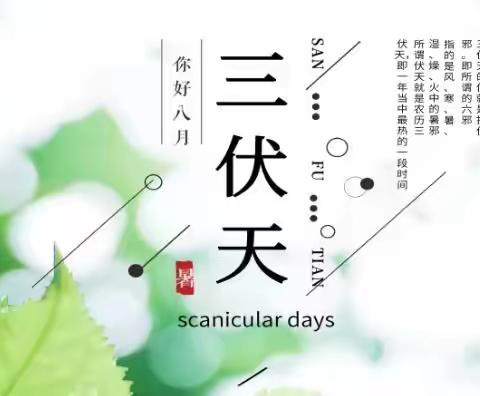 2021年“三伏贴”约起来！