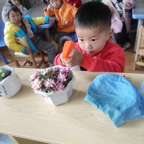 我给花儿🌸浇浇水