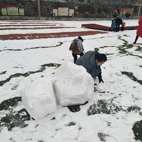 又是一年飘雪季，又见一地雪花开