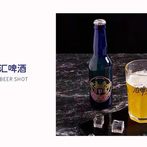 西班牙原装进口 | 泊啤汇啤酒