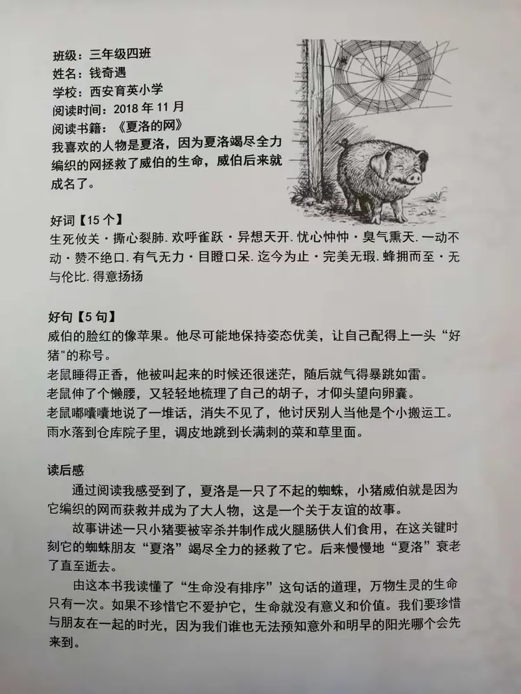 我们一起读好书 之《夏洛的网》