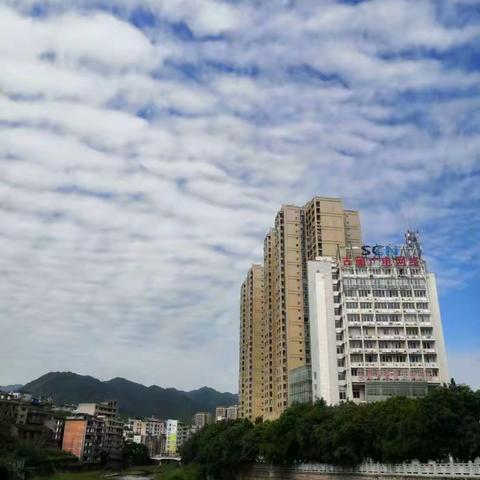 今日立夏