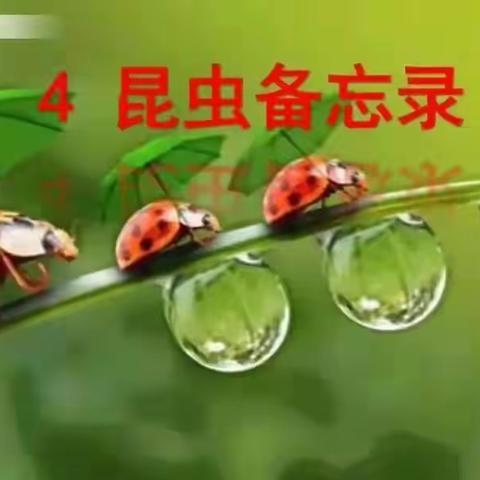 助力双减促成长