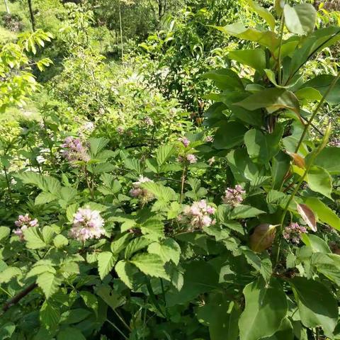 我和毛沟有个约会