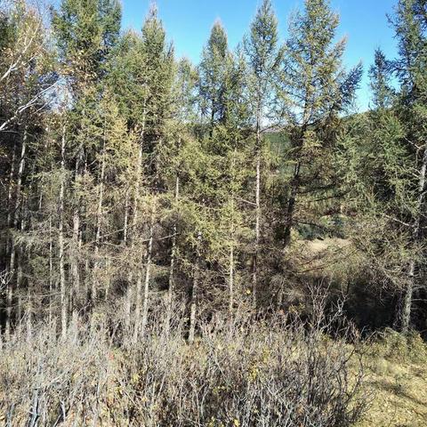 这深秋来到缠绵的美林谷