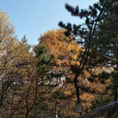 各个季节都有它特别的美👍👍👍🌻🌻🌻