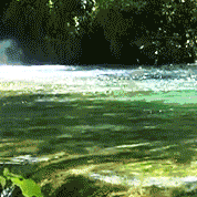 今夜，有雨敲窗         （转发）