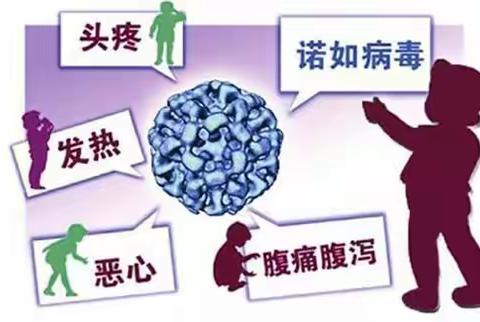 诺如病毒高发季，预防小妙招！