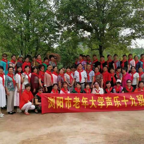 老年大学音乐十九班课外活动纪实 2017年6月2日