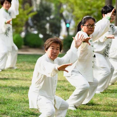 方城武术研究会助力固安宣传