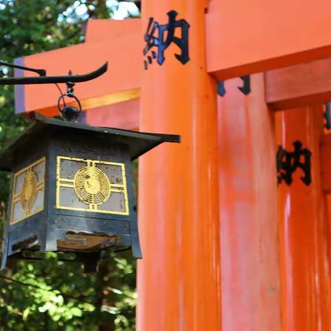 2018年11月 日本行