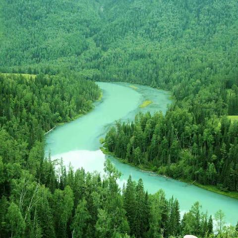 我的新疆之旅（二）喀纳斯湖