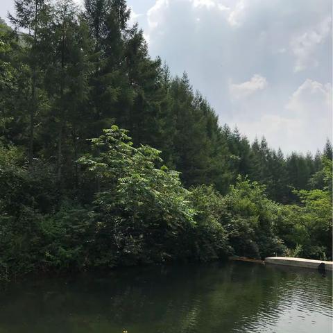 本溪枫林谷山庄2018.7.30气温38度四人帮一行