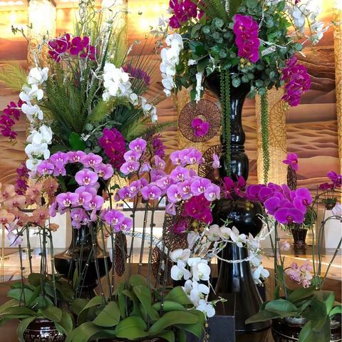 2018.10.18老友相聚万达酒店茶楼