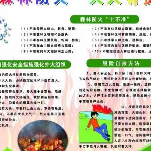 周至县国有永红生态林场清明节森林防火工作纪实