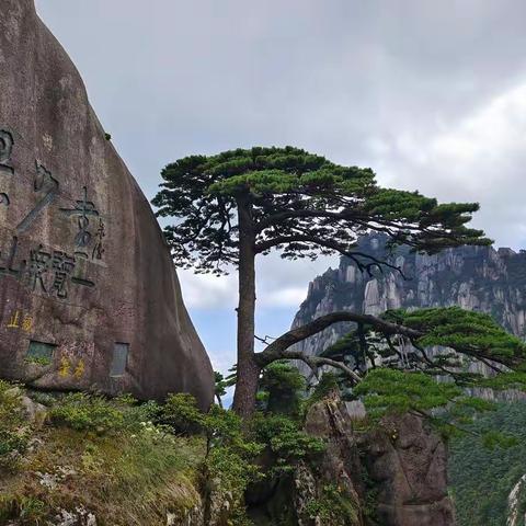 黄山游记