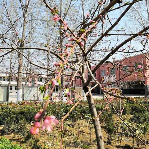 高平一小舞蹈社团活动记录