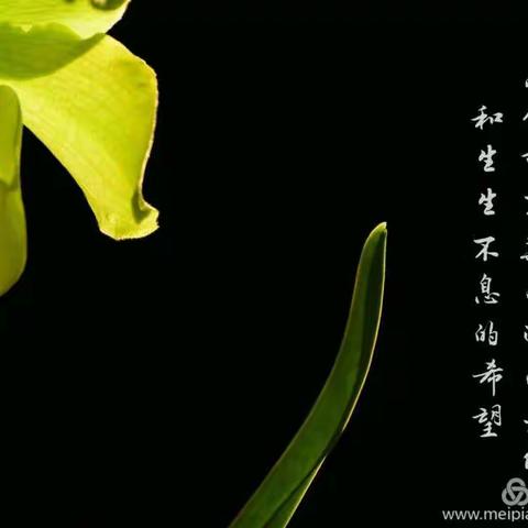 齐心协力，抗击新型冠状病毒，构筑坚强防线， 共守业主健康！