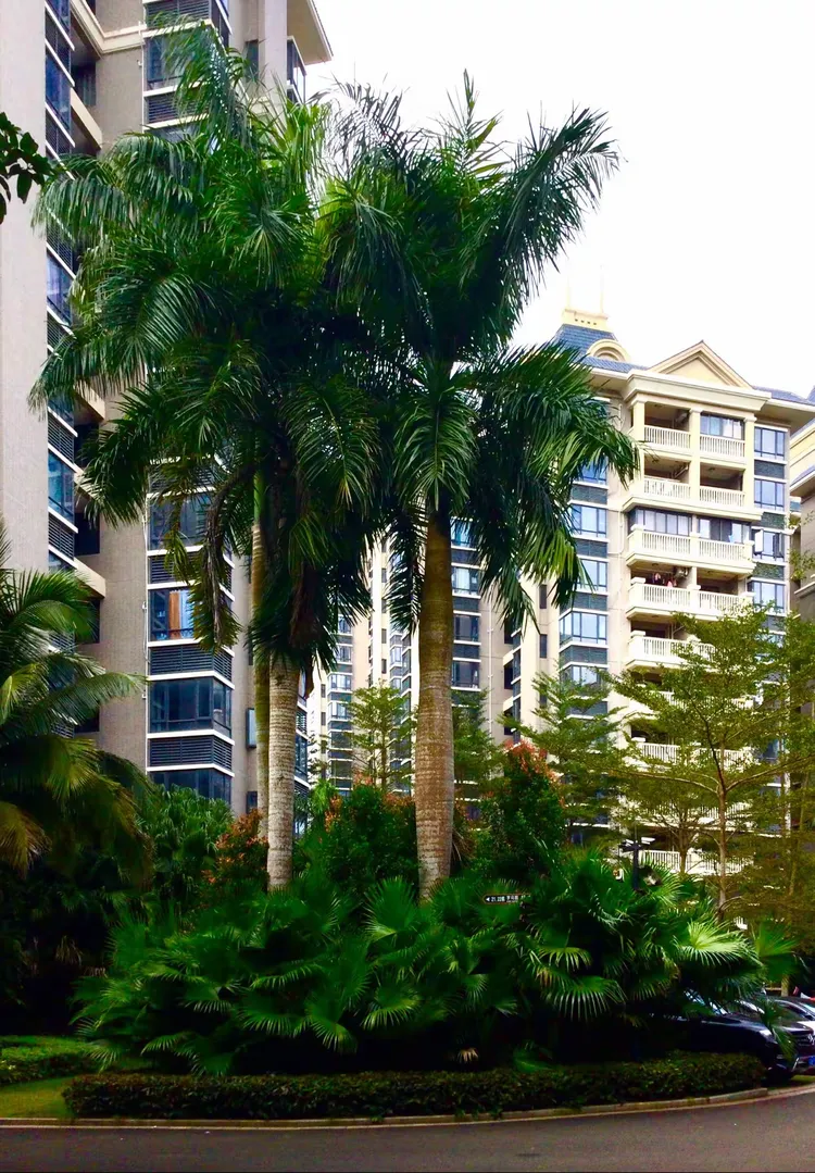 海南《南国威尼斯城》园林风光摄影