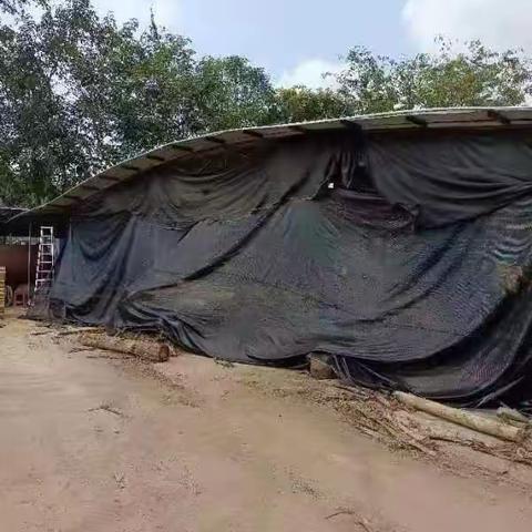 强化监管，持续抓好大气污染防治工作（2023.3.15）