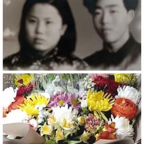 秋水伊人的美篇