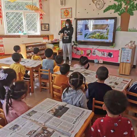 霜降-打霜的树叶