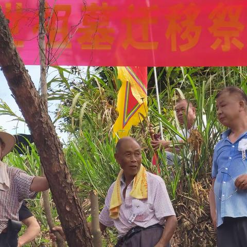 苍南县山前支系程氏始祖一世至七世祖墓迁移祭葬仪式